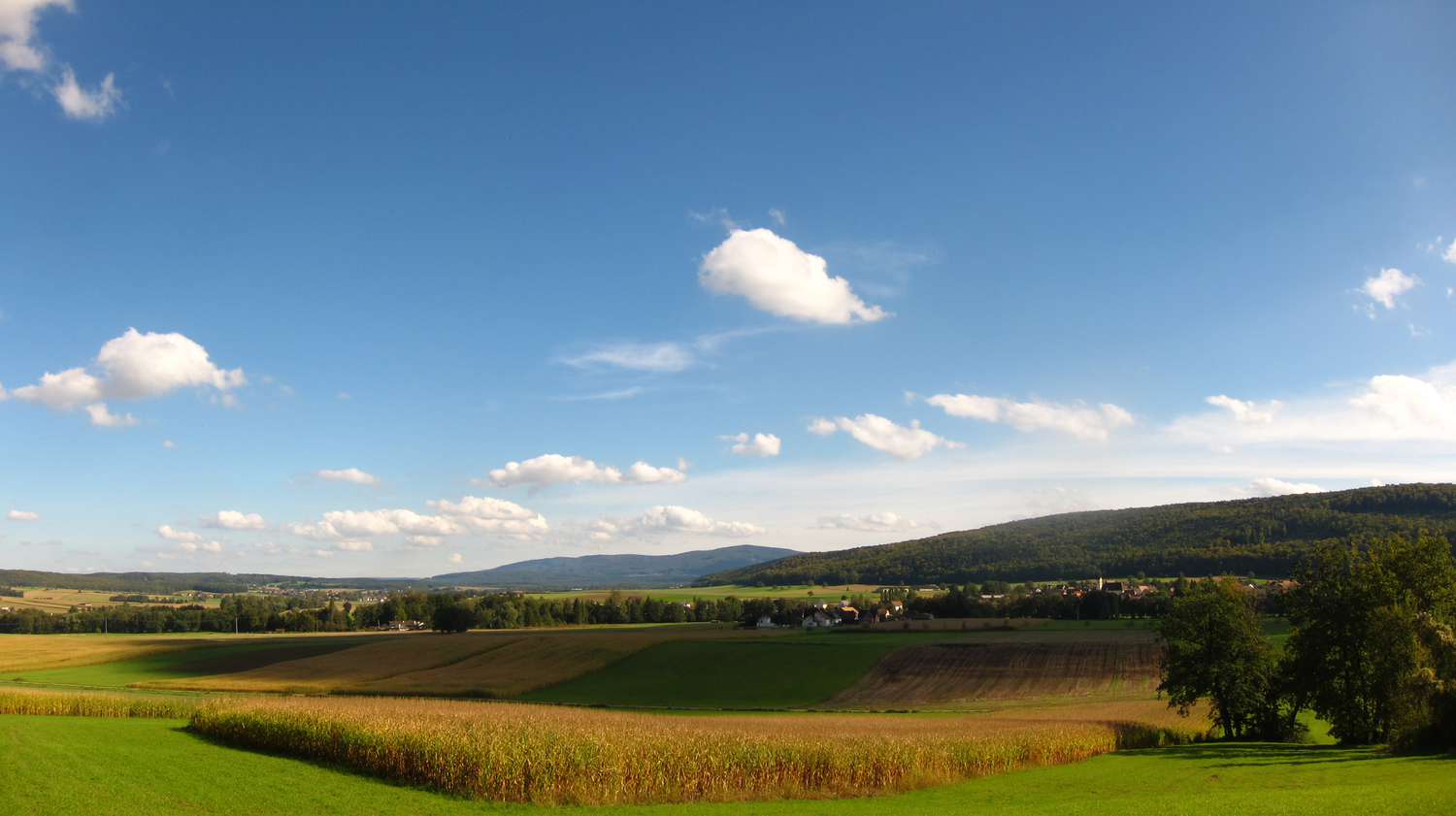 Marcheurs traversant les prairies du Sundgau lors de la Balade autour de Luppach
